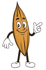 Introduction image for Jeeruboss